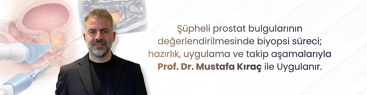 Prostat görseli