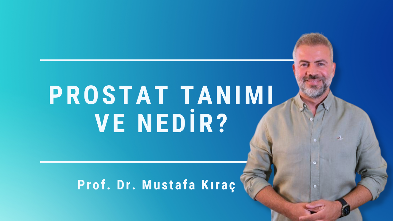 prostat nedir, prostat ne işe yarar, prostat tanımı, prostat hastalıkları, prostat sağlığı, prostat büyümesi, PSA testi, Mustafa Kıraç, Prostat Merkezi, Ankara prostat merkezi